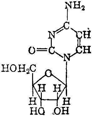 胞嘧啶脱氧核糖核苷酸图片